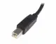 StarTech.com 0.5m, USB 2.0 A/USB 2.0 B, M/M #3
