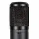 sE Electronics sE2300 #3