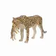 Mojo Fun Cheetah Female with Cub #2