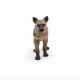 Papo Hyena #3