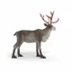 schleich WILD LIFE 75004 #6