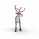 schleich WILD LIFE 75004 #4