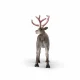 schleich WILD LIFE 75004 #3