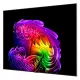 LG OLED evo AI OLED83G64LW #8