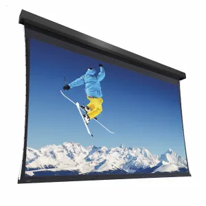 Da-Lite Extensa