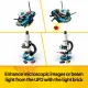 LEGO Creator 31378 #10