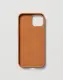 NUDIENT Bold Case #2