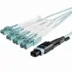 StarTech.com MPO8LCPL10M