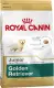 Royal Canin Golden Retriever Junior