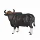 Mojo Fun Gaur Bull #4