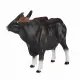 Mojo Fun Gaur Bull #5