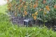 Gardena smart Sensor #3
