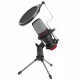 Marvo MIC-02 #2