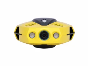 Chasing Innovation Dory
