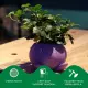 Polymaker PA04011 #3
