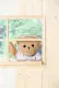 Zapf BABY born Bear assorted #78