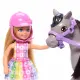 Barbie Chelsea HTK29 #2