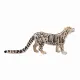Mojo Fun Clouded Leopard #4