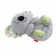 Fisher-Price GRT59 #3