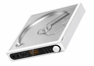FiiO DM15 R2R