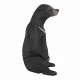 Mojo Fun Sun Bear #4