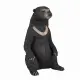 Mojo Fun Sun Bear #3