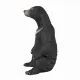 Mojo Fun Sun Bear #2