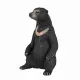 Mojo Fun Sun Bear