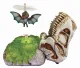 MGA Entertainment GrossMos Flying Style 2 (Green) #5