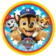 Sombo Wurfscheibe Paw Patrol