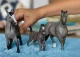 schleich HORSE CLUB 13957 #2