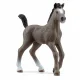 schleich HORSE CLUB 13957