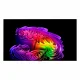 LG OLED evo AI OLED77G64LW #9
