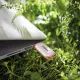 Intenso Green Line #3