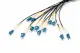 Digitus DK-2A33CU075BK-BBB #2