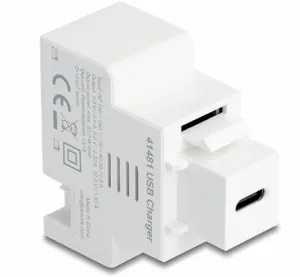 DeLOCK 41481