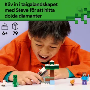 LEGO Minecraft 21583
