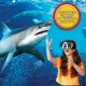 Abacus Shark Lab Vr #5