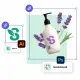 Adobe Express for Enterprise, 1 year, 1 user, Level 12 (10-49), Adobe Value Incentive Plan (VIP) Marketplace 3 year commit, Win/Mac, ENG #5