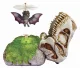 MGA Entertainment GrossMos Flying Style 1 (Blue) #5