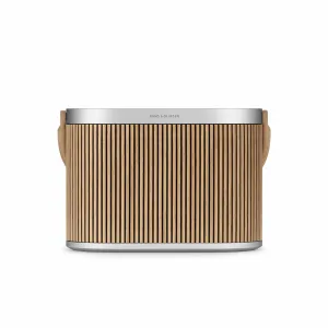 Bang & Olufsen Beosound A5