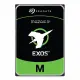 Seagate Exos M