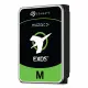 Seagate Exos M #2
