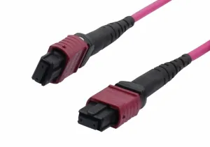 Synergy 21 S216792