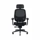 Razer Fujin Pro
