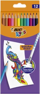 BIC 987868