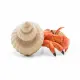 Papo Hermit crab #2