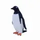 Mojo Fun Gentoo Penguin #3