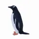 Mojo Fun Gentoo Penguin