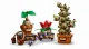 LEGO Harry Potter HogwartsTM Herbology Plants #5